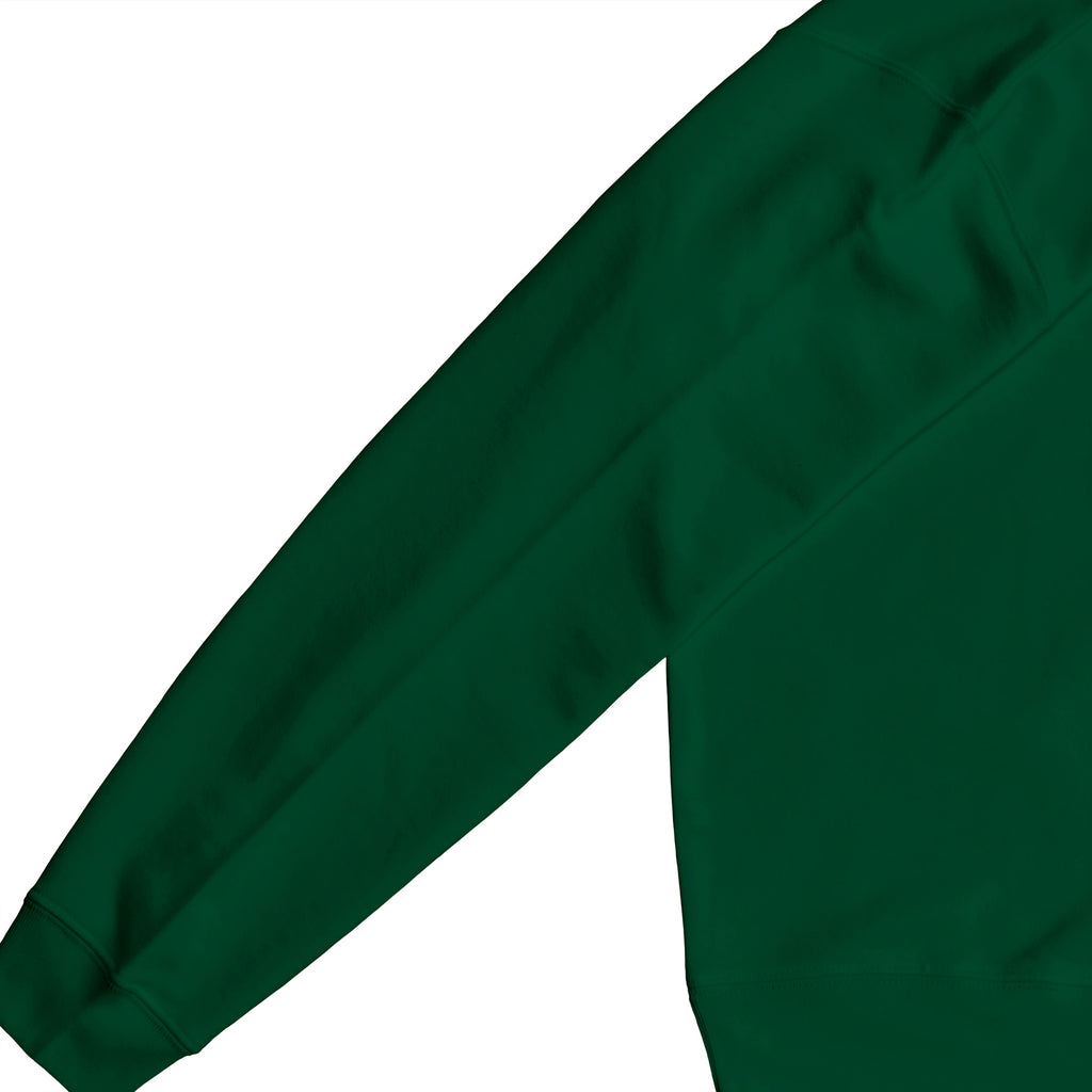 裏パイルスウェット green image