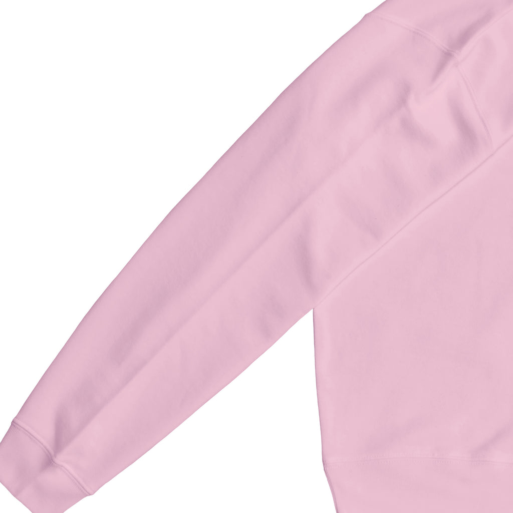 裏パイルスウェット light-pink image