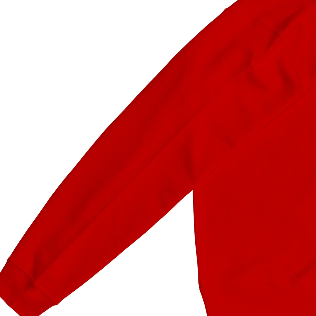 裏パイルスウェット red image